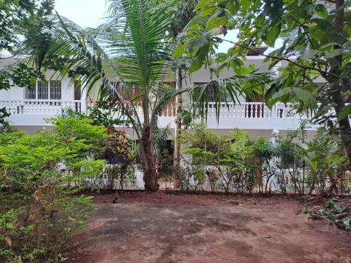 Apricot Inn - Housity