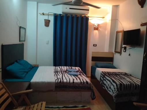 Eka Dolli Elephanten - Housity