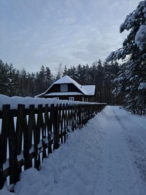 Sosnowy Domek - Housity