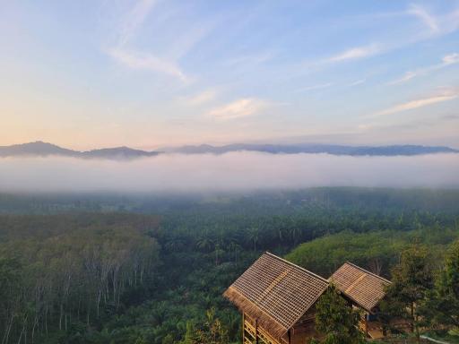 ลานกางเต็นท์&โฮมสเตย์สวนสามใบเถาว์ - Housity