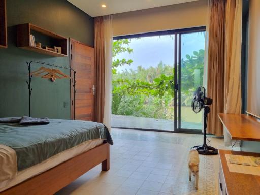 Comfy homestay - Housity
