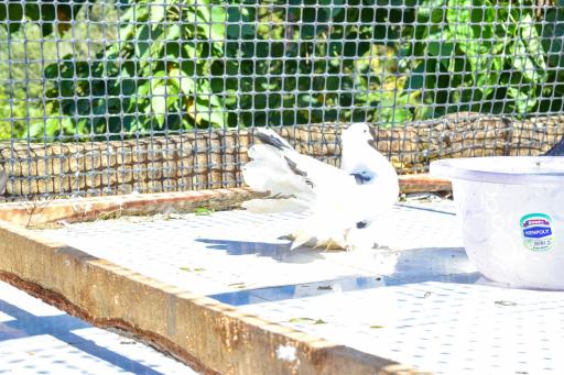 Four seventy - Housity