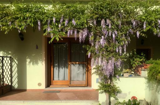 Luciana House - Housity