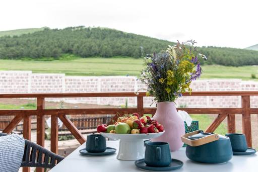 Guest house with mountain view in Aparan - Housity