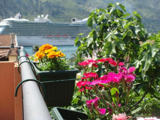 Apartments Martiva - Housity