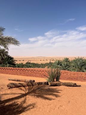 Djenane lichta - Housity