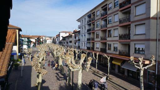 San Pedro by Basquelidays - Housity