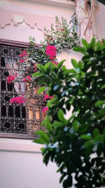 Garden House fez - Housity