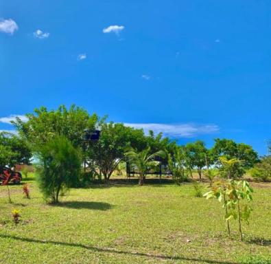 Pousada Carvalho - Housity