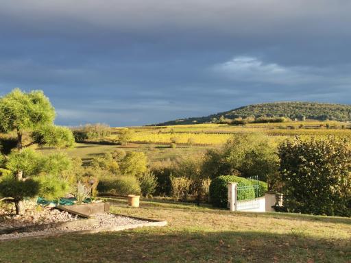 Studio spacieux, route des vins - Housity