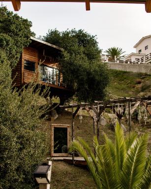 Boskenvid Hotel - Romantic Treehouses & Skypool - Housity