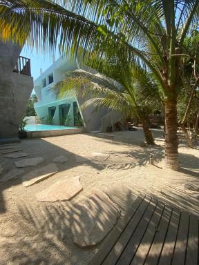 Pacifico El Paredon - Housity