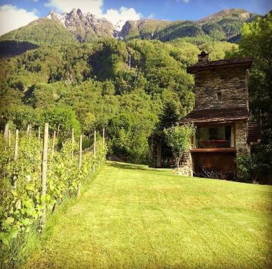 Agriturismo TorreScilano - Housity