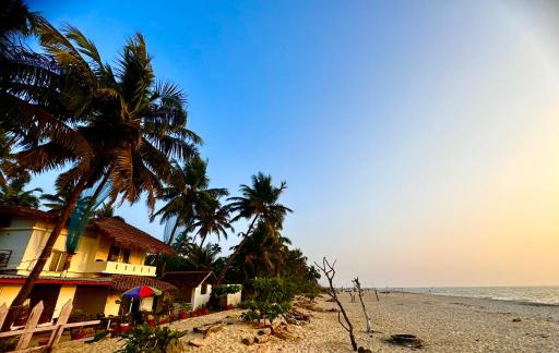 Alivious Beach Homestay - Housity