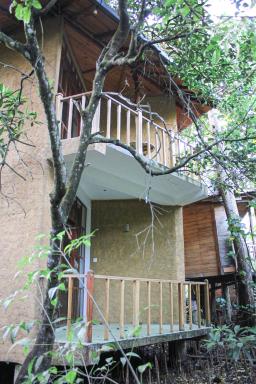 Seasons Four Jungle Cabana - Housity