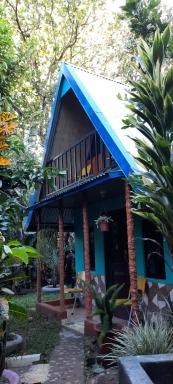 Cabaña bosque verde - Housity