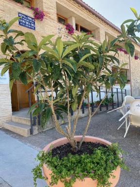Casa Rural Hospital de las Palabras - Housity