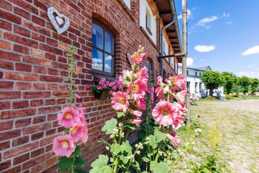 Ostsee Bauernhof Schwalbennest OFC 15 - Housity