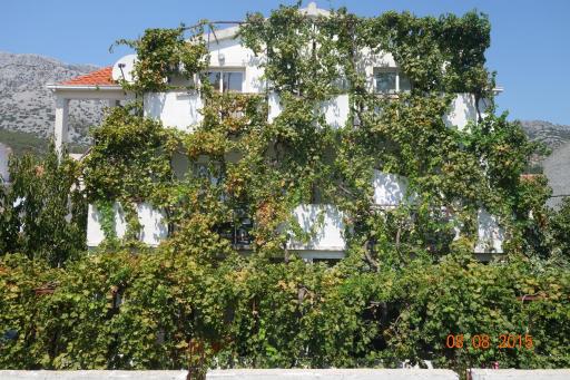 Apartments Mistral Orebic - Housity
