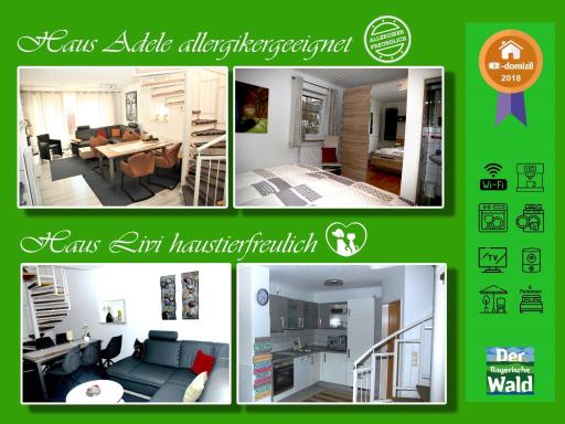 Ferienhaus LIVI - Housity