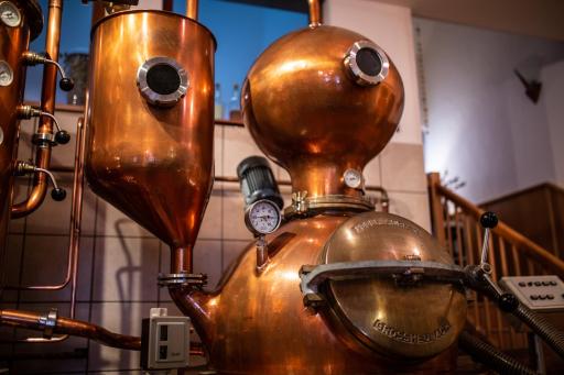 Hotel & Restaurant Zum Ochsen -Ox Distillery - Housity