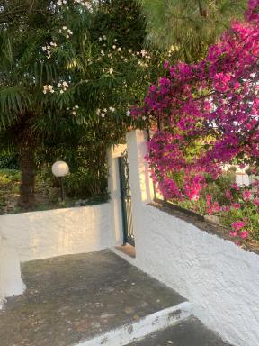 Attico con terrazzo e finestre sulla baia di Peschici - Housity