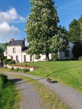 Chambres d'Hôtes de l'Ile du Saule - Housity