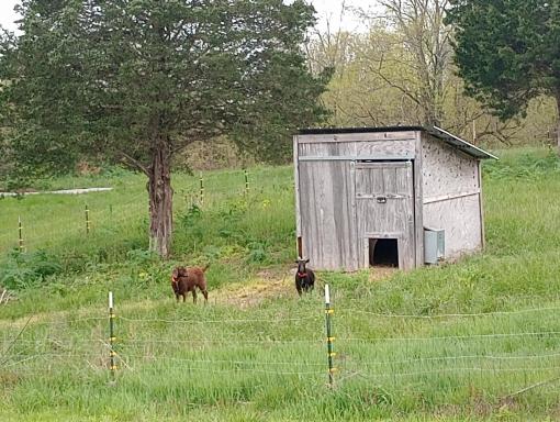 Hayes Acres - Housity