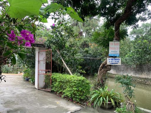 Tre Xanh Homestay - Housity