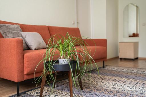 Virumaa Hostel - Housity