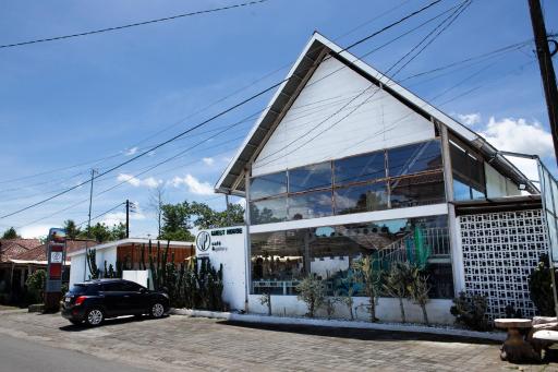 Cactus Guest House Borobudur - Housity