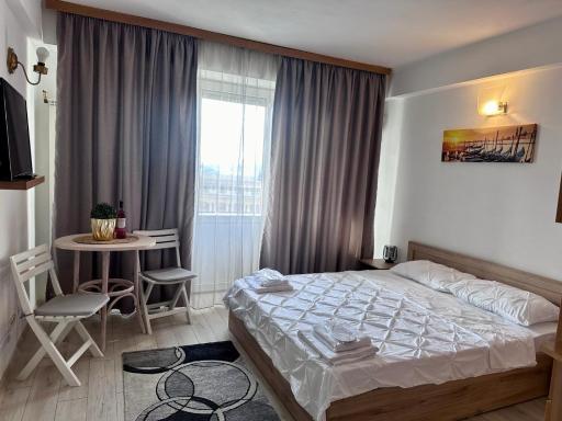 Downtown Studio Calea Victoriei Ultracentral - Housity
