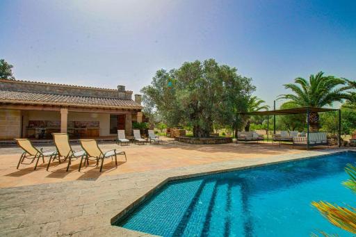 Finca S'Olivar de Son Reixach by Rentallorca - Housity