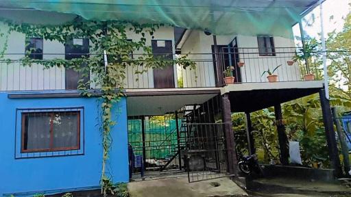 Hostal Isla Natal - Housity