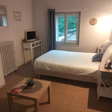 Les 3 orchidées - Housity