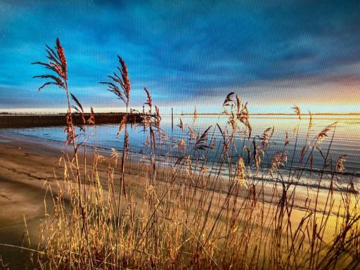 Lütte Stuv - Housity