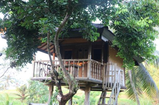 Mesari Cottage Guest House - Housity