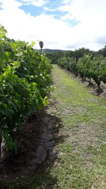 Portezuelo de árboles - Housity