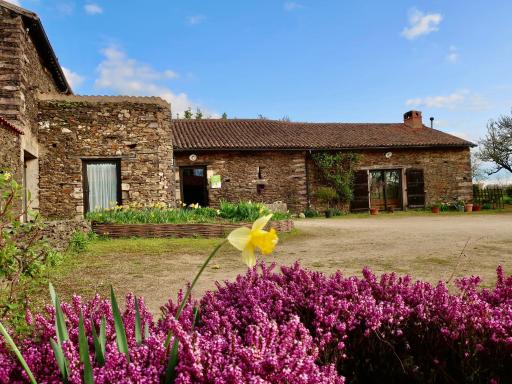 Gîte écoresponsable avec 4 chambres, terrasse et activités, proche LPO, chauffage au sol - FR-1-426-486 - Housity