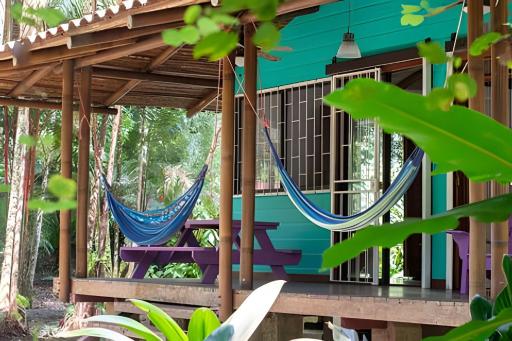 Jungle Dreamz - Housity