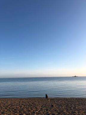 Evening Tide - Housity
