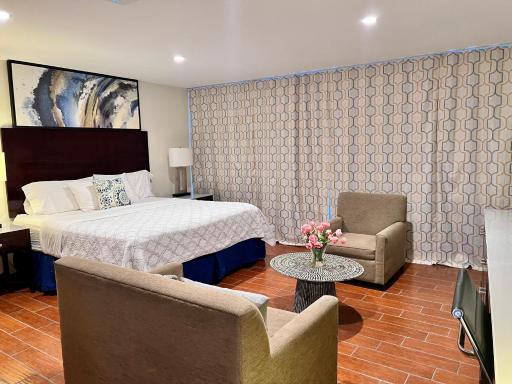 Palms - Housity