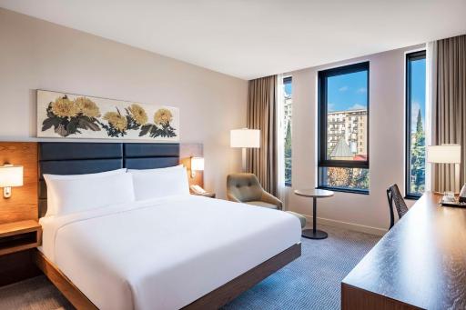 Hilton Garden Inn Tbilisi Chavchavadze - Housity