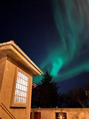 Casa Dísa - Apartments A Boutique Guesthouse in Reykjavik City`s Central Park and Botanical Garden in Laugardalur, Hot-Spring-Valley - Housity