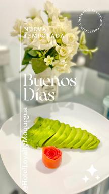 Hotel Loyalty Moquegua - Housity