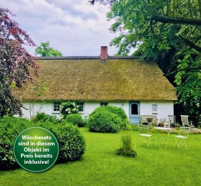 Hollerbusch - Housity