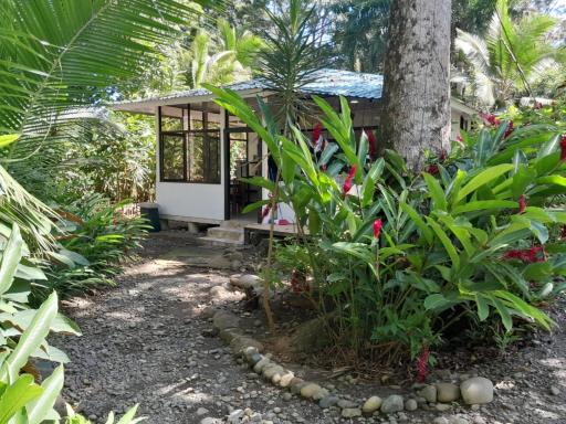 Beachfront Apartment Punta uva - Housity