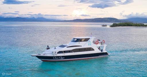 DAILY TRIP KOMODO TOUR - Housity