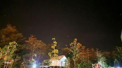 Starseed - Housity