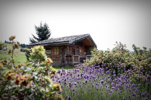 Hôtel Le Manoir des Montagnes - Housity